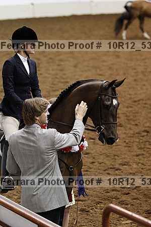 Proof 10r12_5378