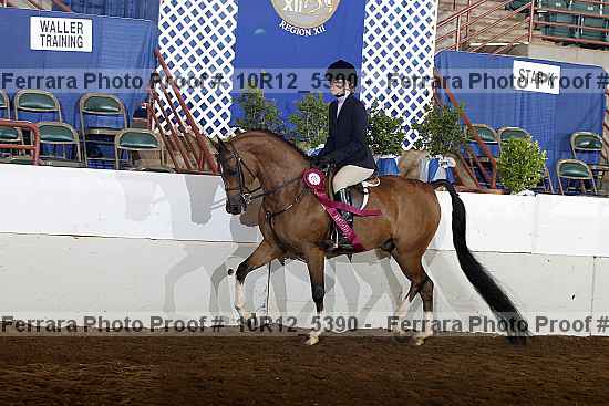 Proof 10r12_5390