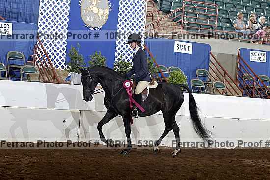Proof 10r12_5396