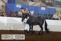 10r12_5594 proof