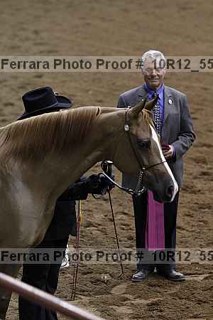 Proof 10r12_5599