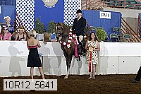 10r12_5641 proof