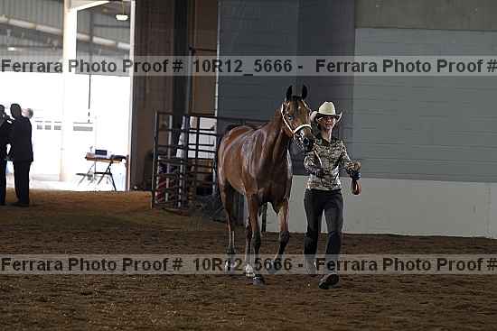 Proof 10r12_5666
