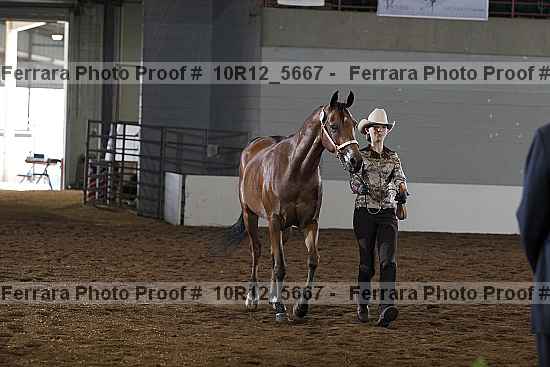Proof 10r12_5667