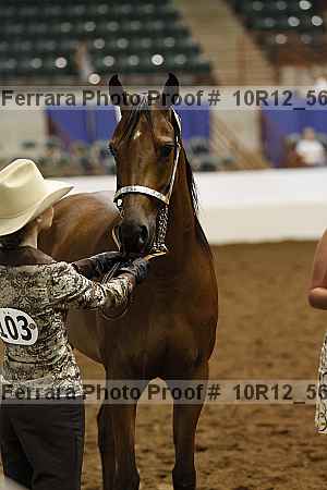 Proof 10r12_5674