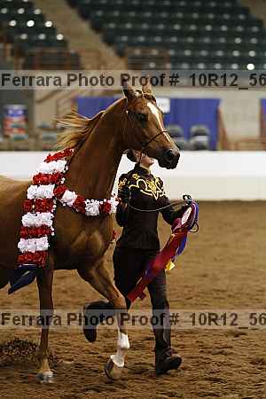 Proof 10r12_5696