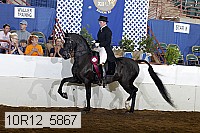 10r12_5867 proof