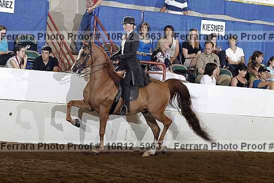 Proof 10r12_5963