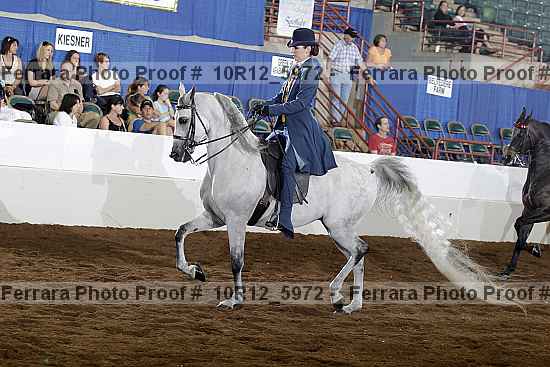Proof 10r12_5972