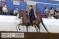 10r12_5989 proof