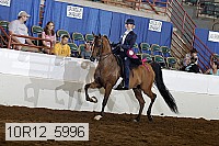 10r12_5996 proof