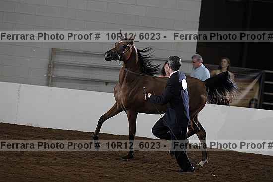 Proof 10r12_6023