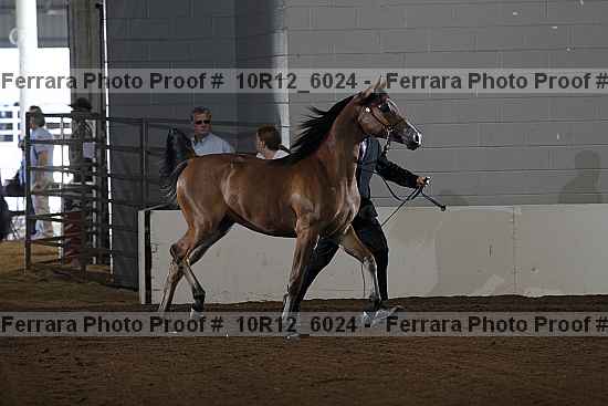 Proof 10r12_6024