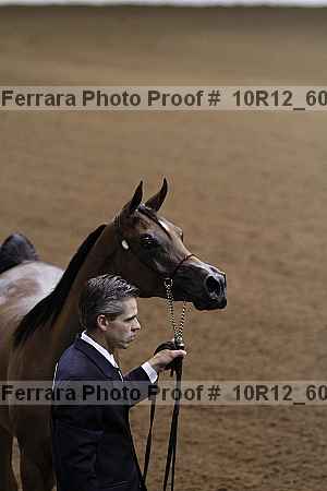 Proof 10r12_6026