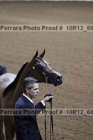 Proof 10r12_6027