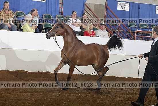 Proof 10r12_6028