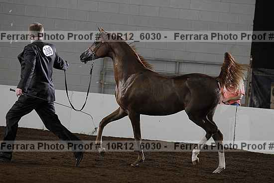 Proof 10r12_6030