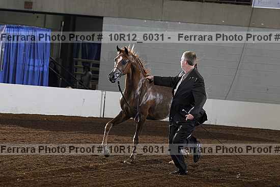 Proof 10r12_6031