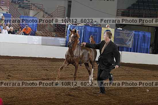 Proof 10r12_6032