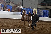 10r12_6032 proof