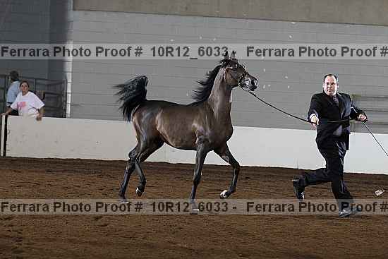Proof 10r12_6033