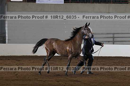 Proof 10r12_6035