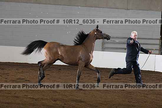 Proof 10r12_6036