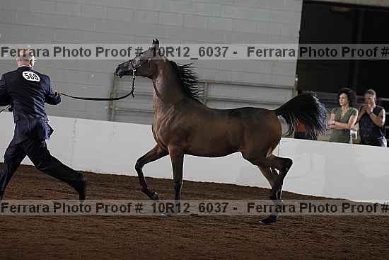 Proof 10r12_6037