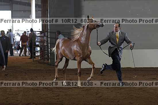 Proof 10r12_6038