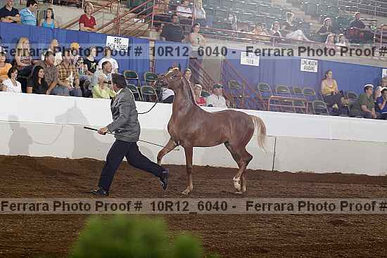 Proof 10r12_6040