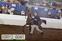 10r12_6041 proof