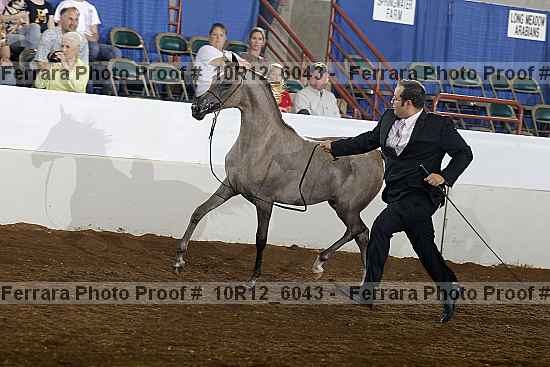 Proof 10r12_6043