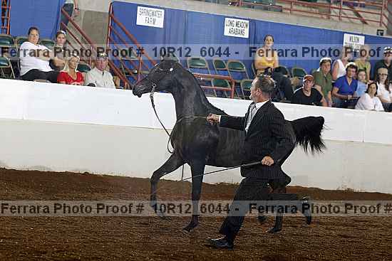 Proof 10r12_6044
