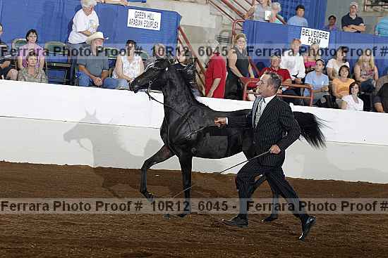 Proof 10r12_6045