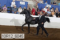 10r12_6045 proof