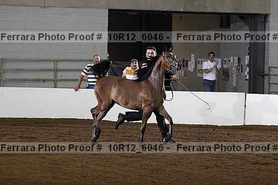 Proof 10r12_6046