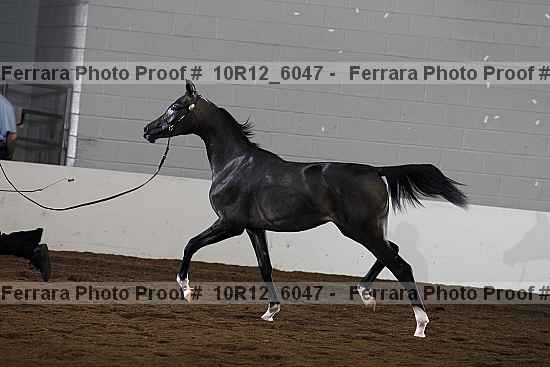 Proof 10r12_6047