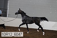 10r12_6047 proof