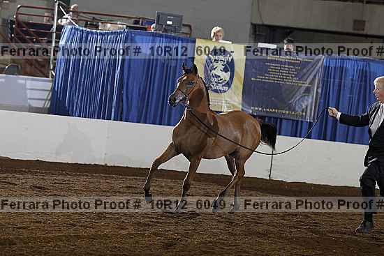 Proof 10r12_6049
