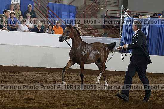 Proof 10r12_6050