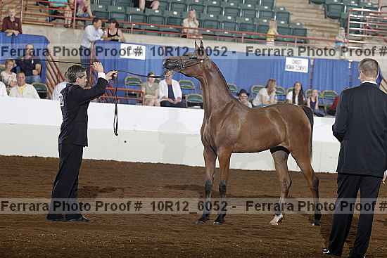Proof 10r12_6052