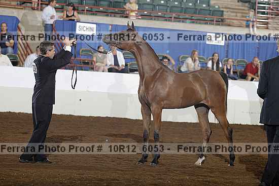 Proof 10r12_6053