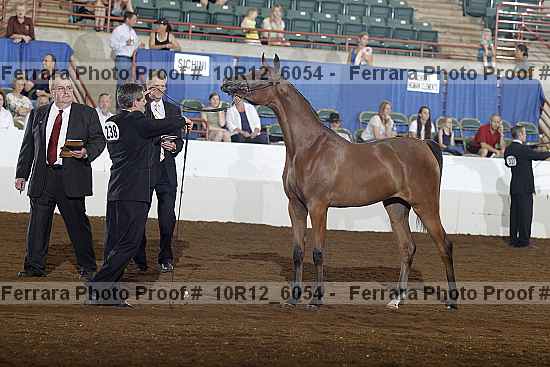 Proof 10r12_6054