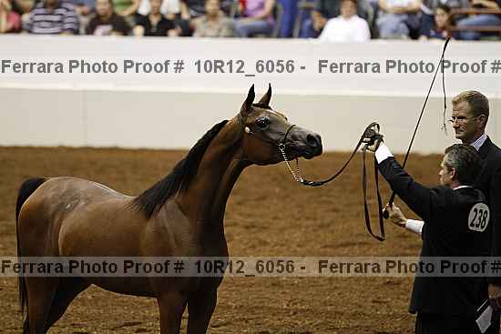 Proof 10r12_6056
