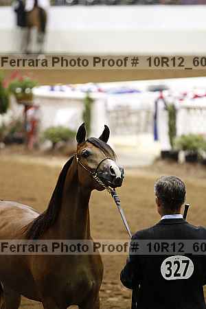 Proof 10r12_6058