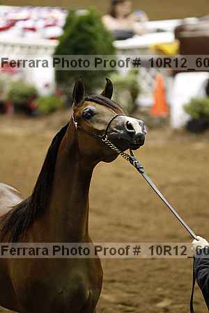 Proof 10r12_6059