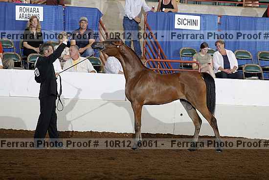 Proof 10r12_6061
