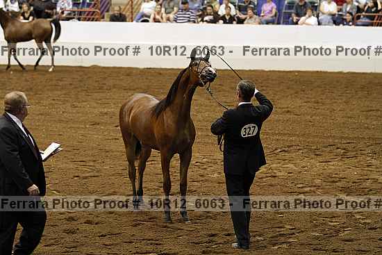 Proof 10r12_6063