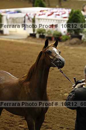 Proof 10r12_6065
