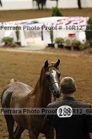 Proof 10r12_6066